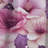 Orchid Dream Tropical Pattern III Blackout Single Curtain Panel-95458646