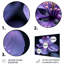 Mauve noir Moody Majesty, fleur de pommier-174190476-174190479