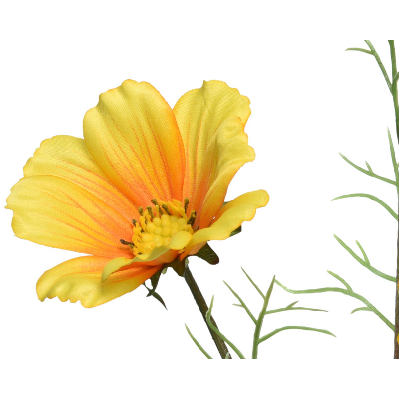 Arrangement