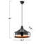 Luminaire suspendu à 1 lumière Calloway
