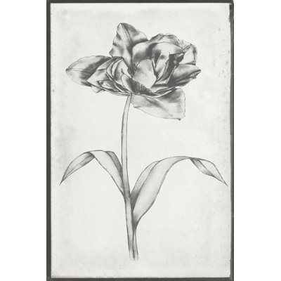 Single Stem I by Jennifer Goldberger - Wrapped Canvas Print