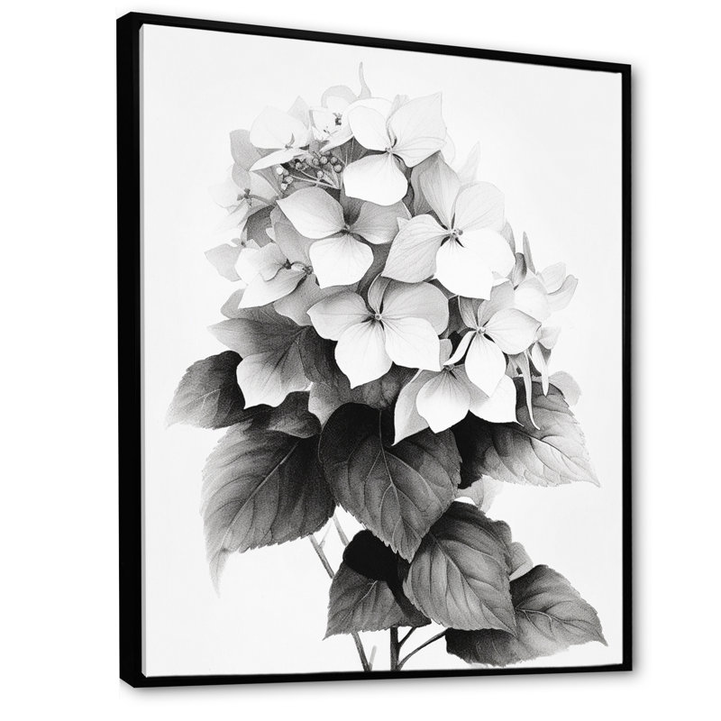 Hortensia gris et blanc gris sur toile, H 44 po x l 34 po x P 1,5 po, Cadre flottant noir