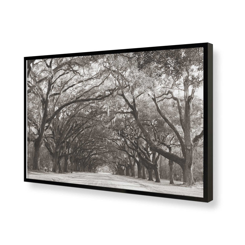 «Georgia Stroll» par Nathan Larson, reproduction d'art, H 12 po x l 18 po, Noir