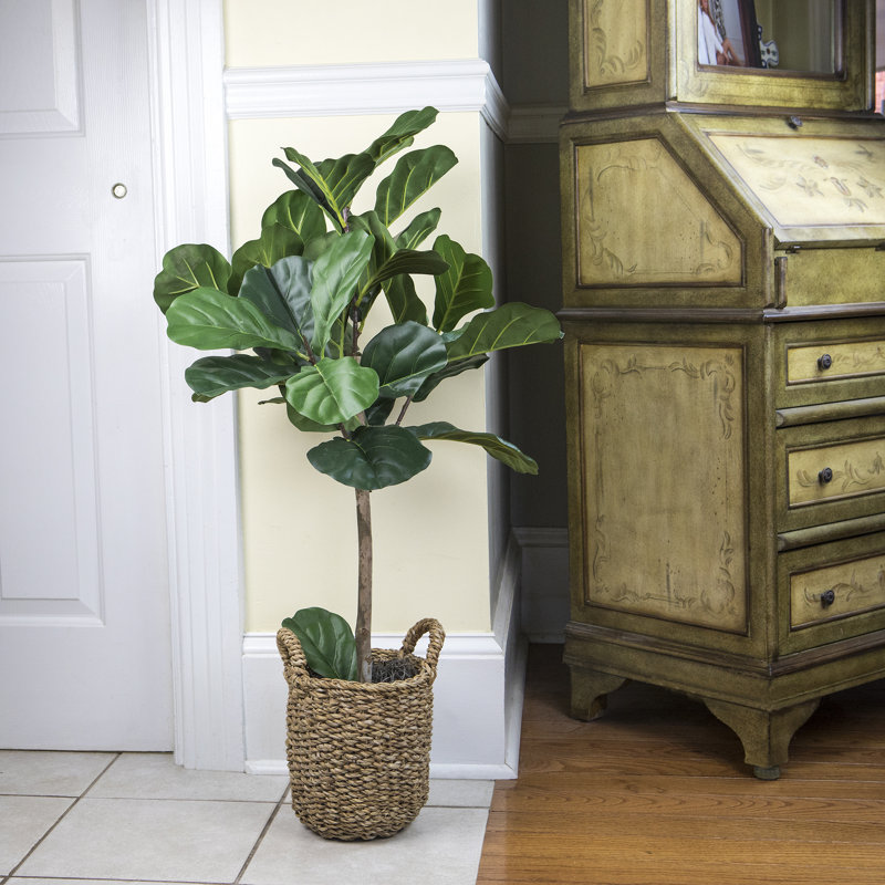 30'' Faux Fiddle Leaf Fig Tree in Glass Basket