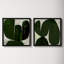 Succulent Set Of 2 by StudioM-66479132-66479133