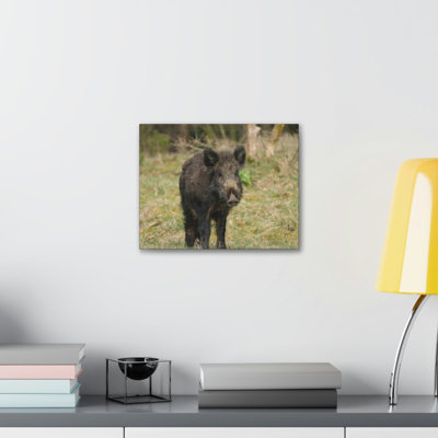 Boar Hunting Boar on Hunt Print Animal Wall Art