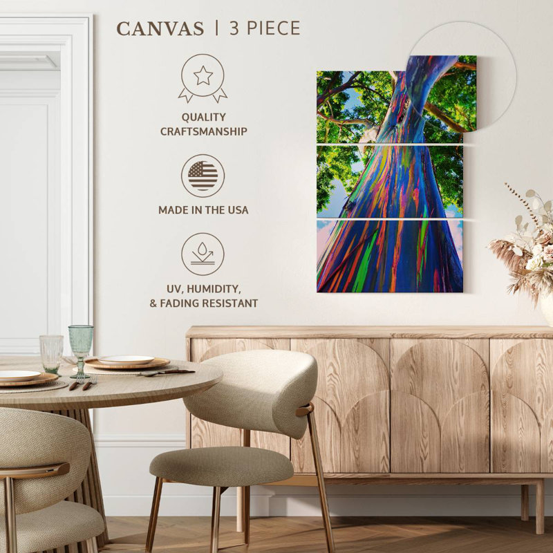 Eucalyptus hawaïen Harnek, H 38 po x l 24 po