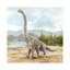 «Dinosaur Illustration IV» par Ethan Harper - reproduction-52522674-52522675-52522676