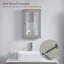 34cm x 53cm Surface Mount Mirror Cabinet-51384339