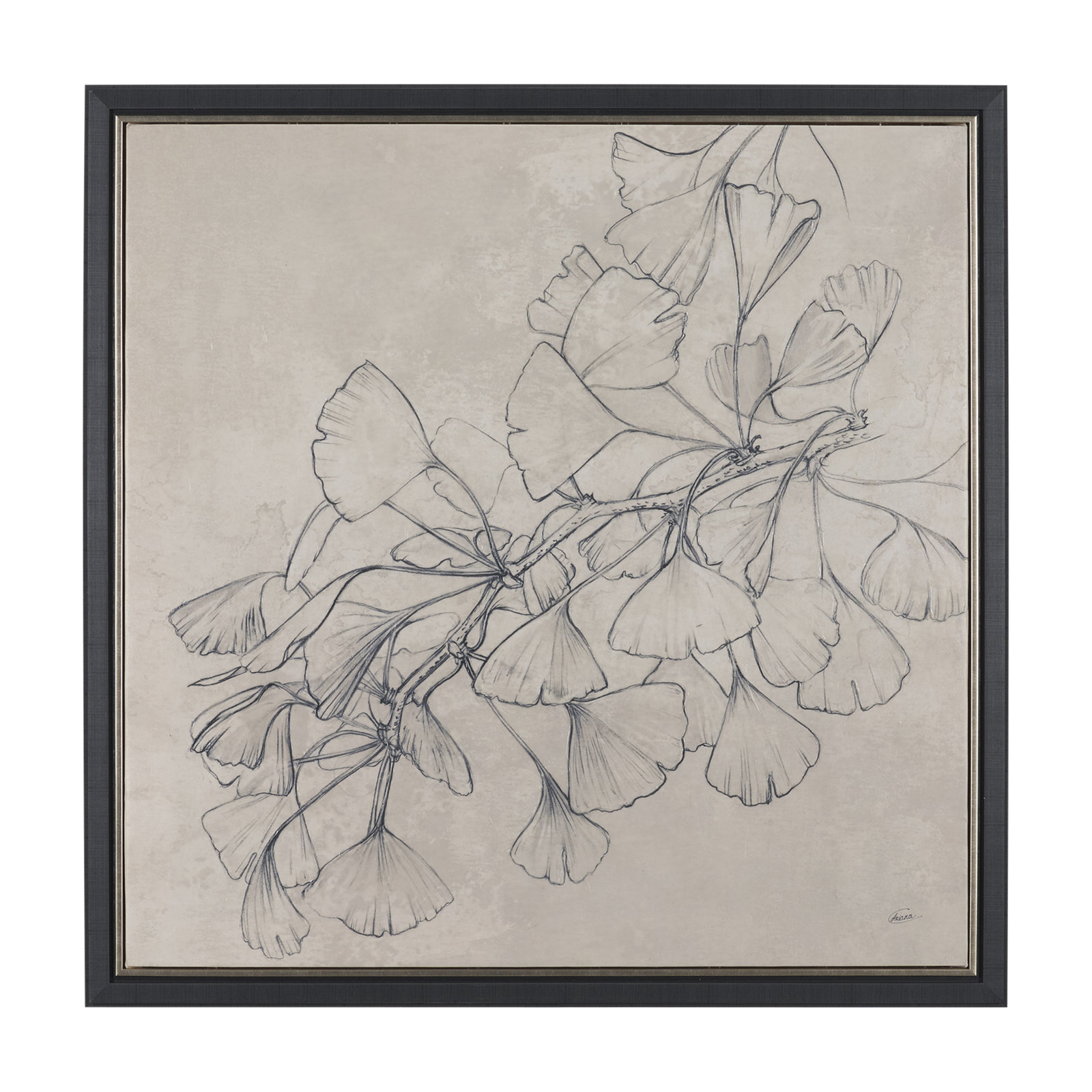 Winrey Shadows I By Studio Hand Embelished Textured Framed Canvas Artwork, Framed Wrapped Canvas Ginkgo Shadows II