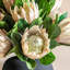 Faux Stem Tropical Arrangement 470mm (12pk)-1971626870