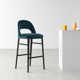 Ariana Bar & Counter Stool