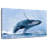 Brampt Leaping Humpback Whale-107868450