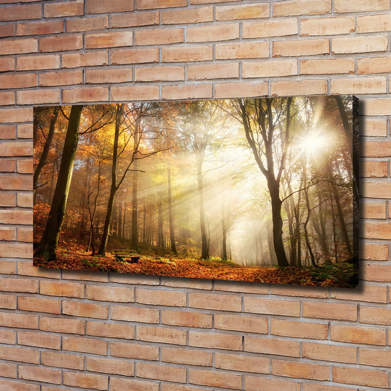 Fog In The Forest - Wrapped Canvas Print