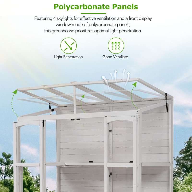 78-inch Wooden Greenhouse Cold Frame, White