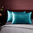 Silk Satin Soft Pillowcases 2 PCS(Cover Only)-383445832-383445838
