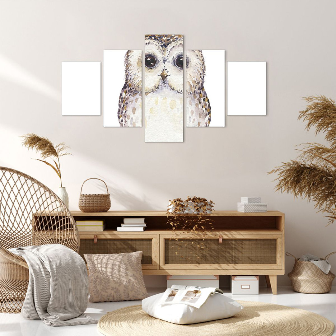 5-tlg. Leinwandbilder-Set Owl Tawny Owl