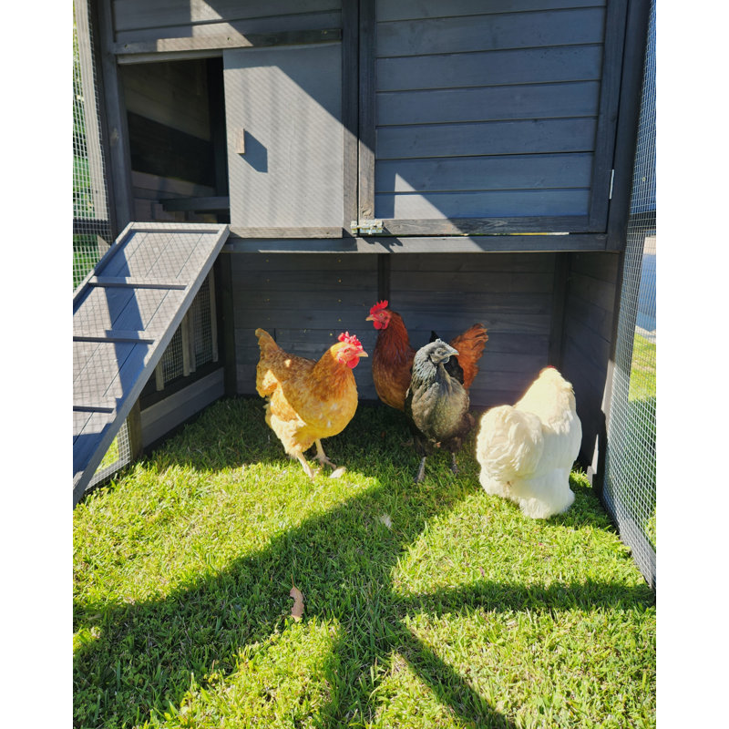 Rugged Ranch Pueblo Grande Walk In Chicken Coop with Chicken Run Gray/Black