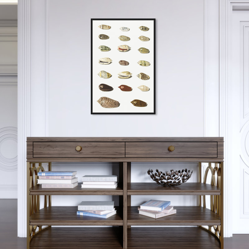 «Twenty Tropical Shells», impression sur toile, H 24 po x l 16 po x P 1,5 po, Cadre noir