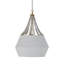 Soma 1 - Light Single Dome Pendant with Wood Accents