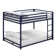 Eastfield Standard Bunk Bed by Isabelle & Max™
