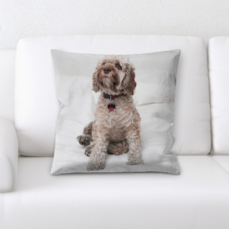 Housse et insert de coussin carré pour chien