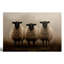 Décoration champêtre rustique : trois moutons à tête noire duveteux (40 x 30 pouces) - Décoration de salon-616344697