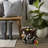 Rebrilliant Ohagan Decorative Basket-1027361738