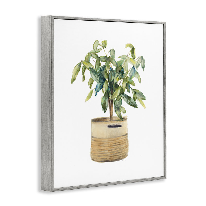 Art en giclée encadrée par Lanie Loreth, H 30 po x l 24 po, Estampe numérique Farmhouse
