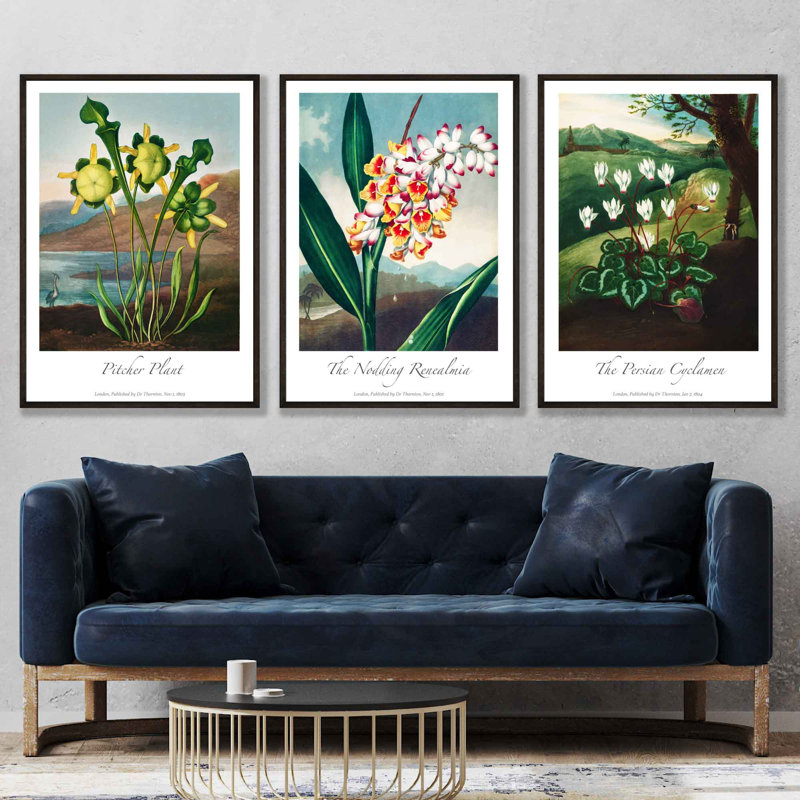 Vintage Botanical Medicinal Flowers by Robert John Thornton - 3 Piece No Frame Painting Set, 40cm H x 90cm W