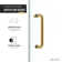 Raymore Series 60'' W x 62'' H Single Added Frameless Tub Door with Clear Glass