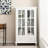 Cabinet Bookcase