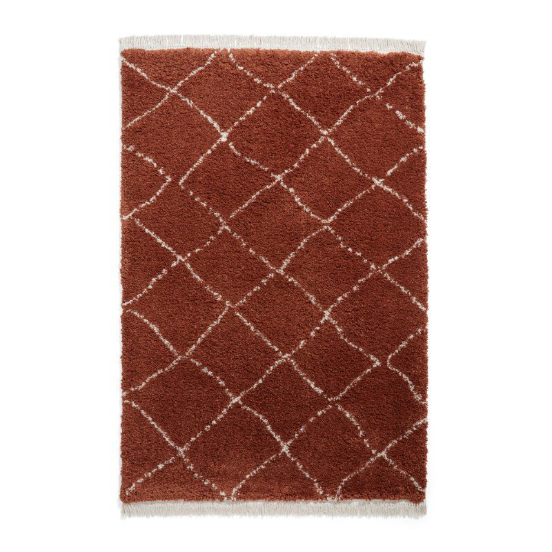 Pechler area rug Machine Woven Rust, Rectangle 200 x 290cm