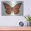 Art mural en métal Rosalind Wheeler «Monarch Butterfly» par Andrea Strongwater-1295048492