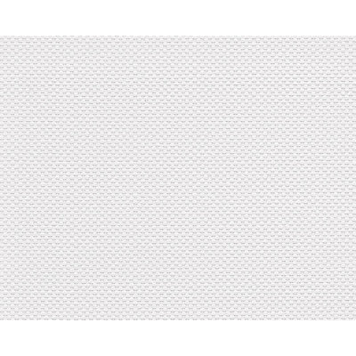 Rouleau de papier peint L 33 pi x l 21 po Ax