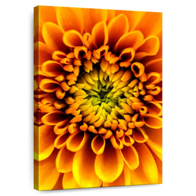 Harnek Yellow Orange Mum
