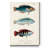 " Antique Fish Trio III "-1448642404