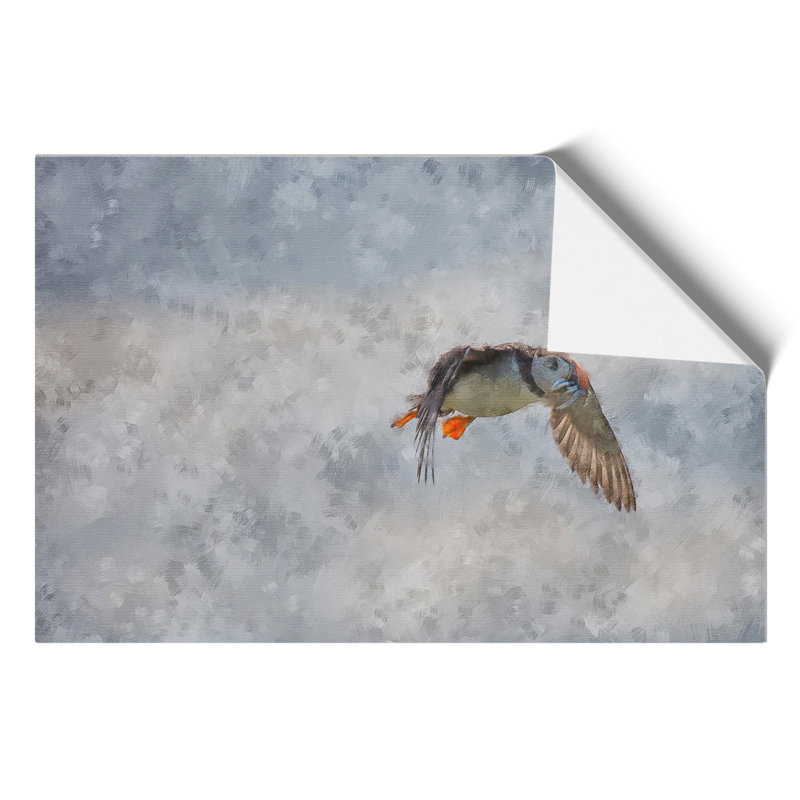 Atlantic Puffin Birds Painting - Frameless Print, 30cm H x 42cm W x 0.1cm D