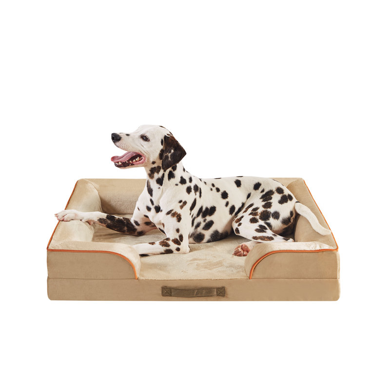 Lit orthopédique pour animaux Canvey, (Grand) l 35 po x P 25 po x H 6,5 po, Kaki