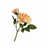 Apricot is out of stock