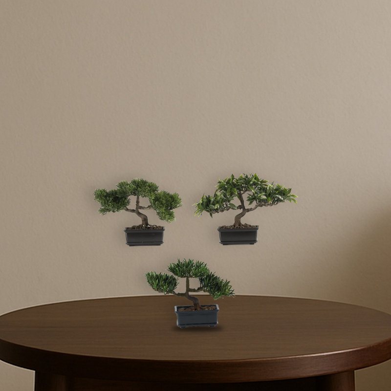 Bonsai Silk Plant Collection
