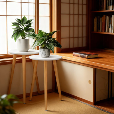 Modern Wood Plant Stands Indoor Mid-Century Vintage Stool For Flower Pots Round Side Table End Table Plant Holder For Living Room Corner Balcony Decor by Arlmont & Co.