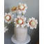 Protea Blush Waratah Bloom 31 po-2115729980-2115729981