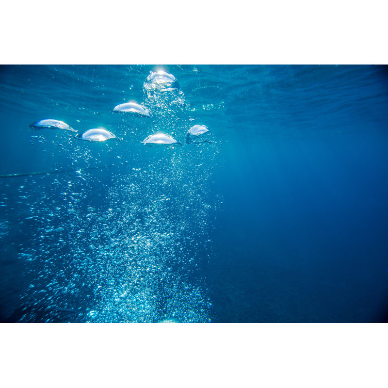 Emerging Bubbles - Wrapped Canvas Print, 30cm H x 46cm W x 3.8cm D