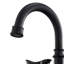 Double Handle Bathroom Sink Faucet with Drainer-63530443