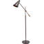 Emiliano 164cm Bronzed Task Floor Lamp