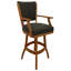 Wapiti du Nord-Ouest - gris foncé-510695318
