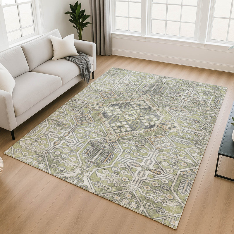 Premium Machine Washable Mayfield AMF2197 global Rug, Aloe, 3' x 5'