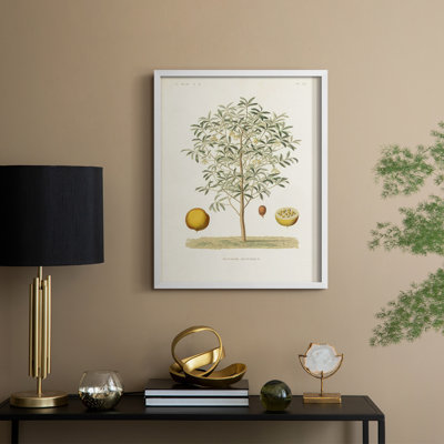 Arbre antique avec fruit IV, reproduction encadrée - bois massif
