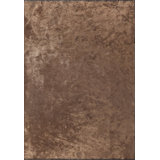 Rapture Area Rug in Brown